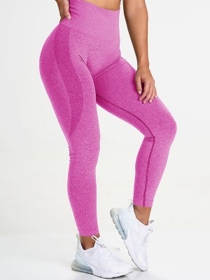 Buy Ceniz Women's Stretched Shiny Sports/Elastic Yoga Workout Leggings  Pants for Ladies & Girls (Large, Gold) at