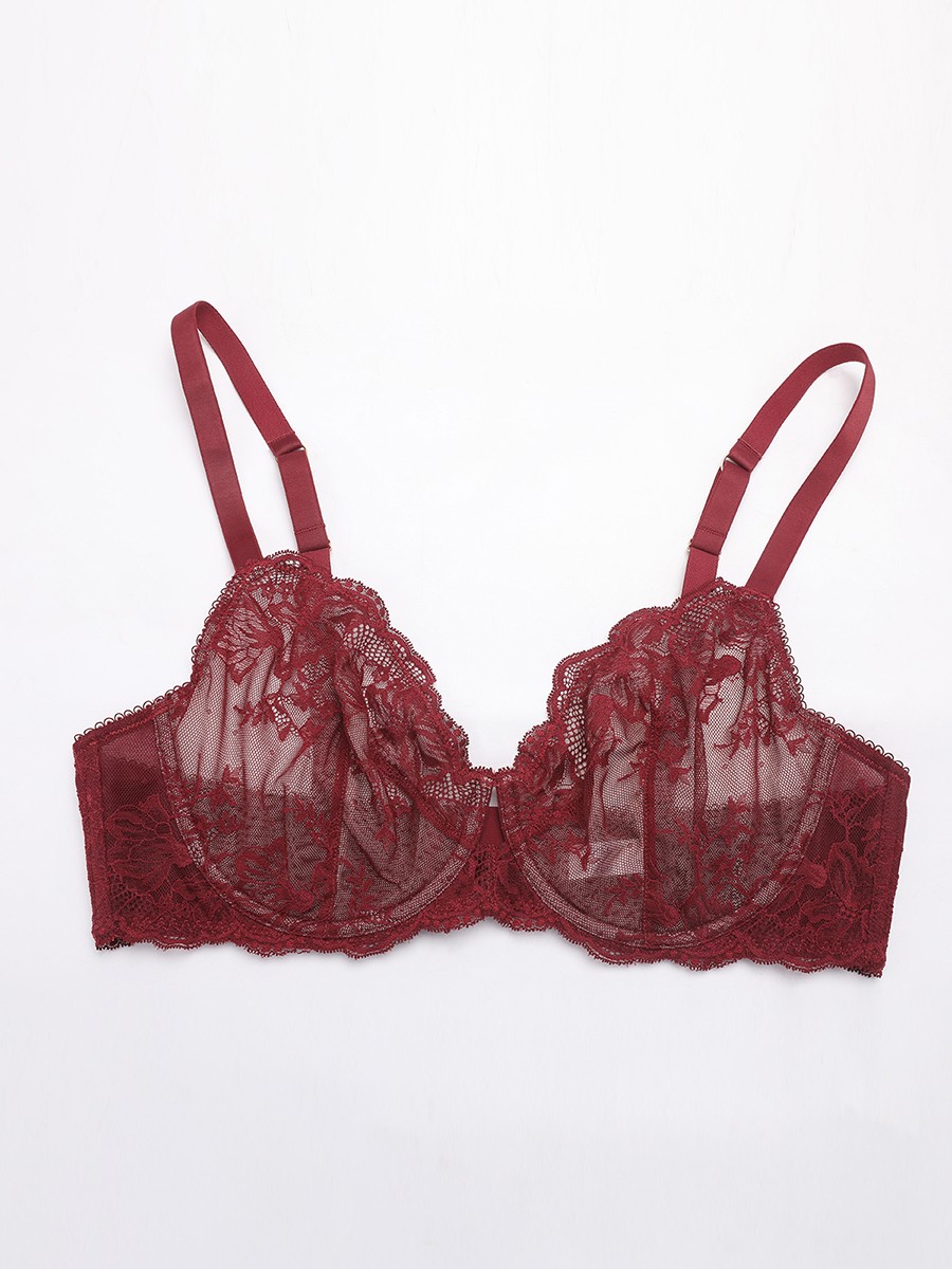 Unlined Underwire Natural Lift Sheer Floral Mesh Lace Bra
