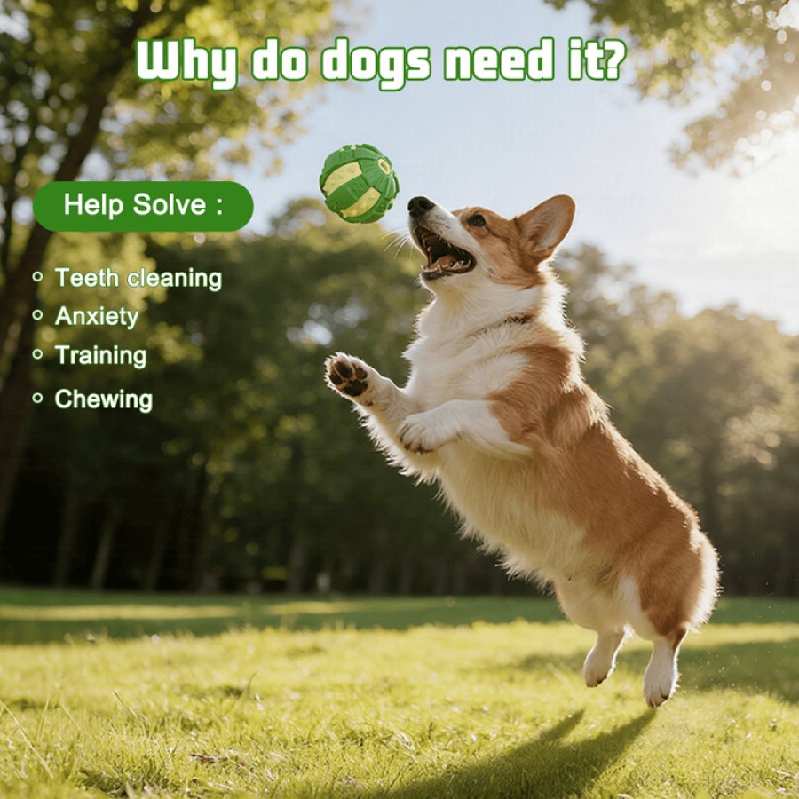 Green Dog Chew Ball Rubber Toy