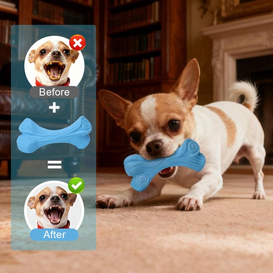 Rubber Bone Dog Chew Toy