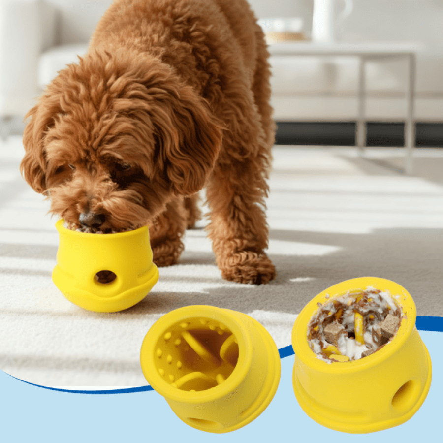 Hemispherical dog educational toy