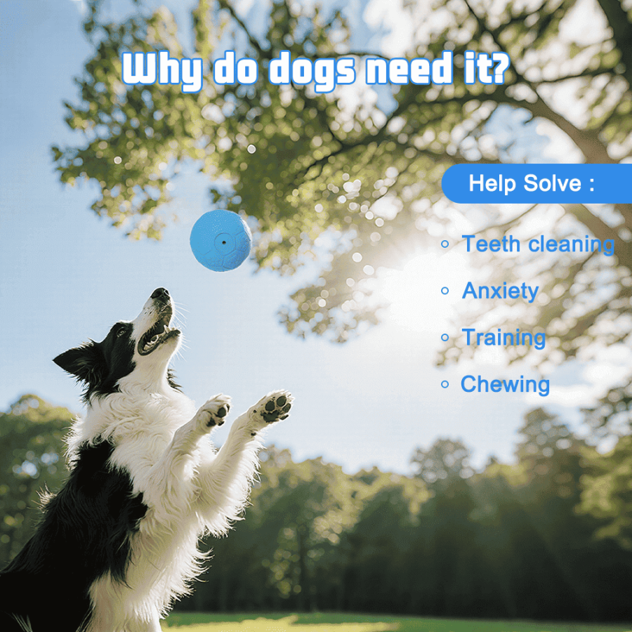 Rubber Squeaky Dog Ball