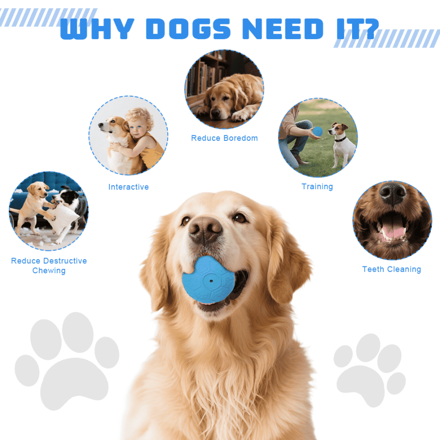 Rubber Squeaky Dog Ball