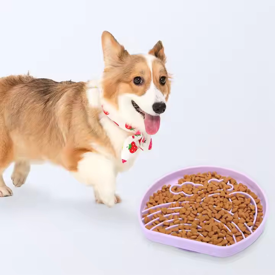D-Shaped Silicone Slow Feeding Dog Bowl